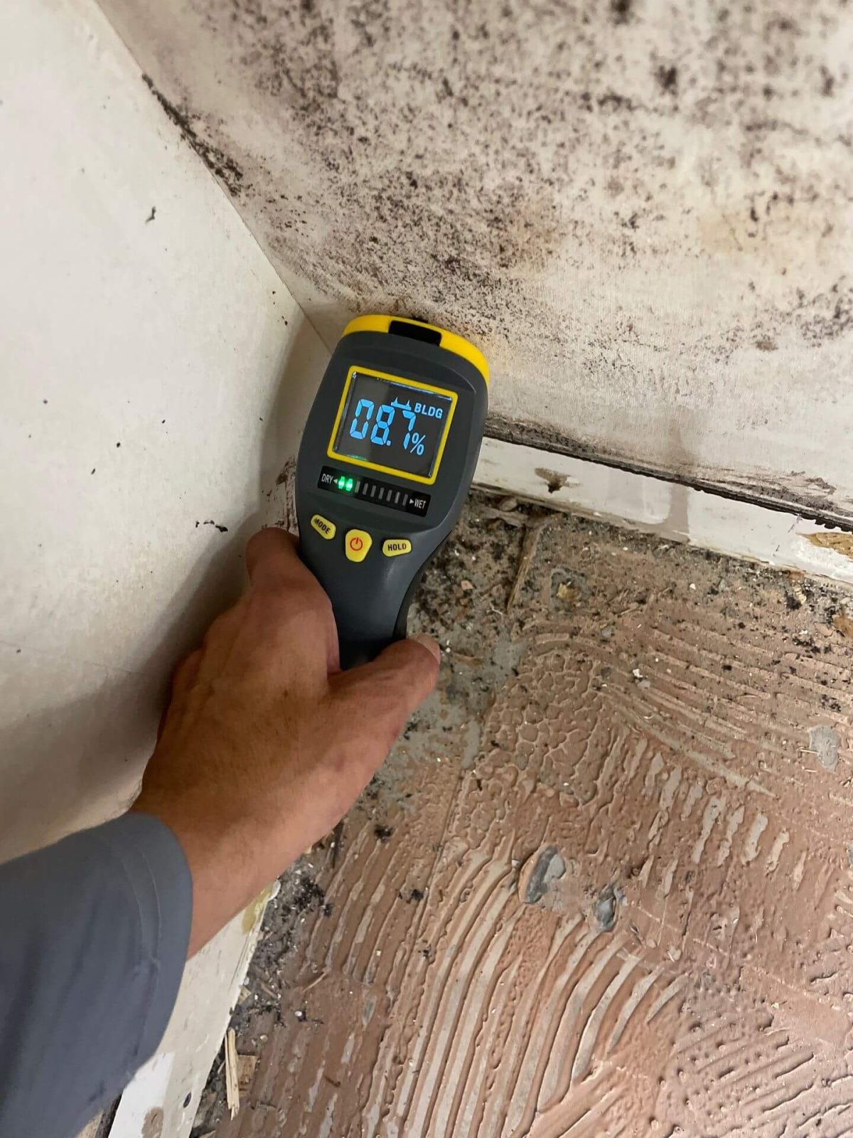 Pur360 Technician testing a moldy wall using a specialized tool