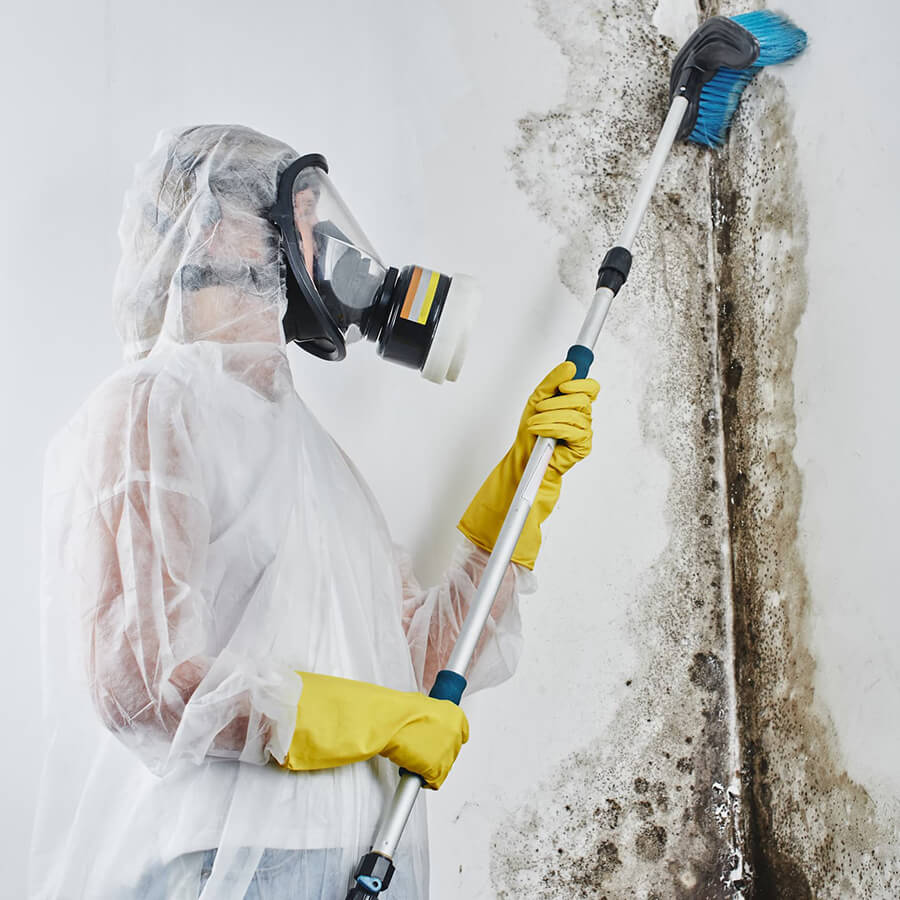 Technician wearing hazmat suit treating a wall with severe mold