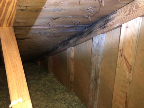 Crawlspace with mold damage on the ceiling