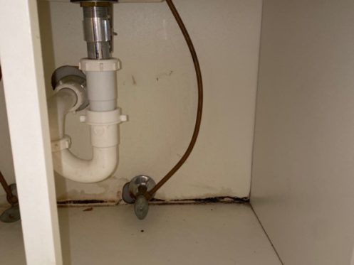 Water pipes under a sink with water damage