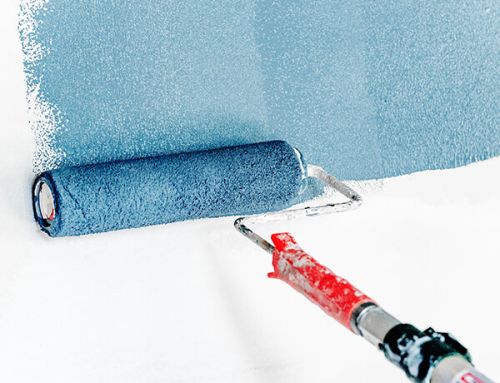 The Truth Behind Mold-Resistant Paint