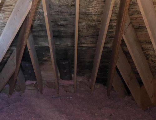What Causes Attic Mold?