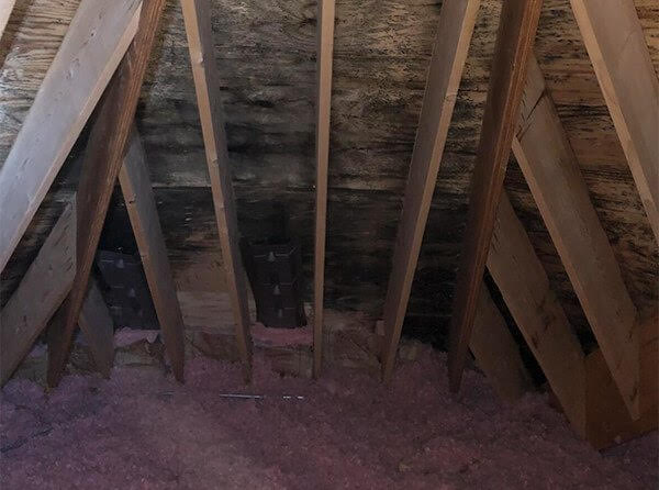 Attic with Mold before being treated by Pur360