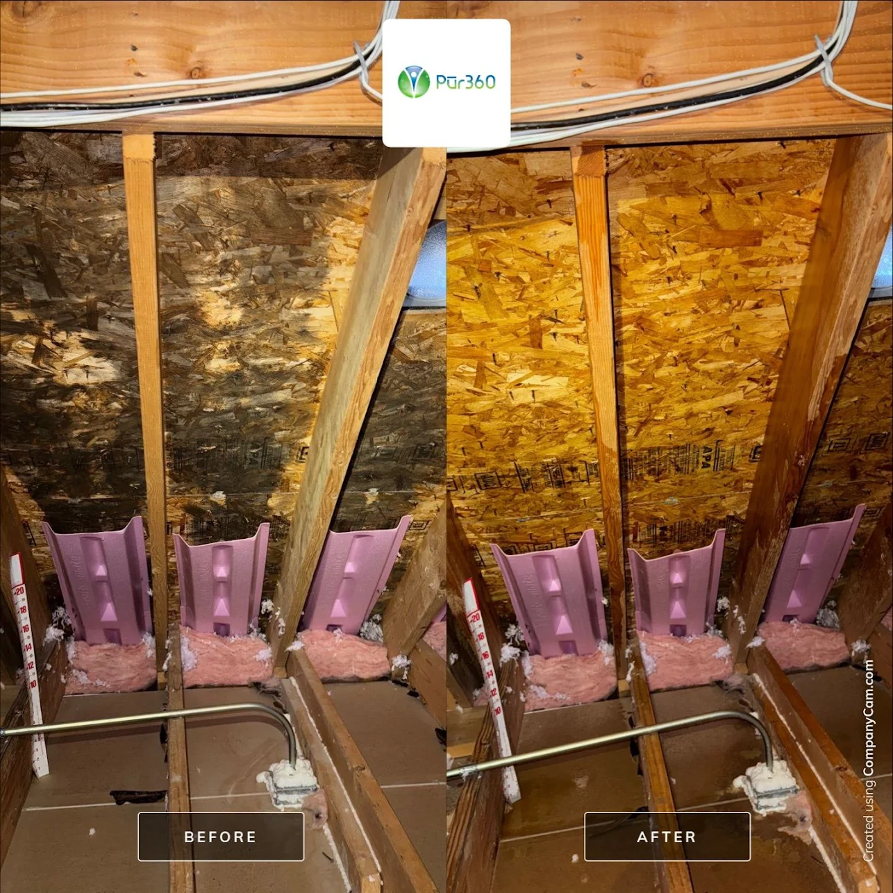 Photo of attic in Chicago showing mold before and after mold removal