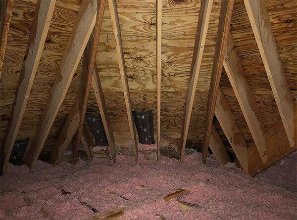 Attic with no mold after being treated by Pur360