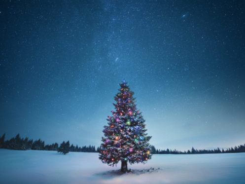 A Christmas tree in the middle of a snow outside with a nice blue sky at night