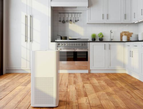 Are Air Purifiers Capable of Eliminating Mold?