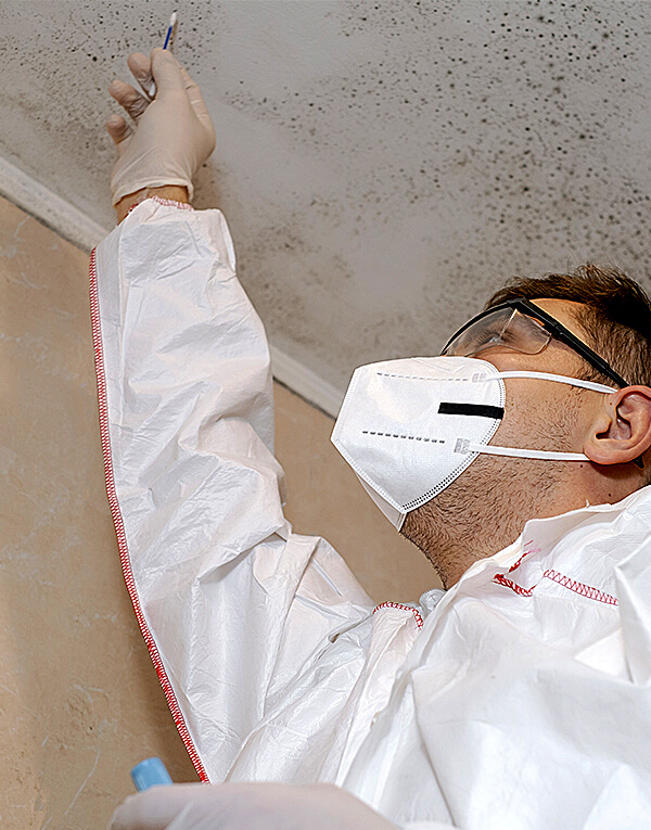 A mold technician cotton-swabbing a expected mold area on the ceiling