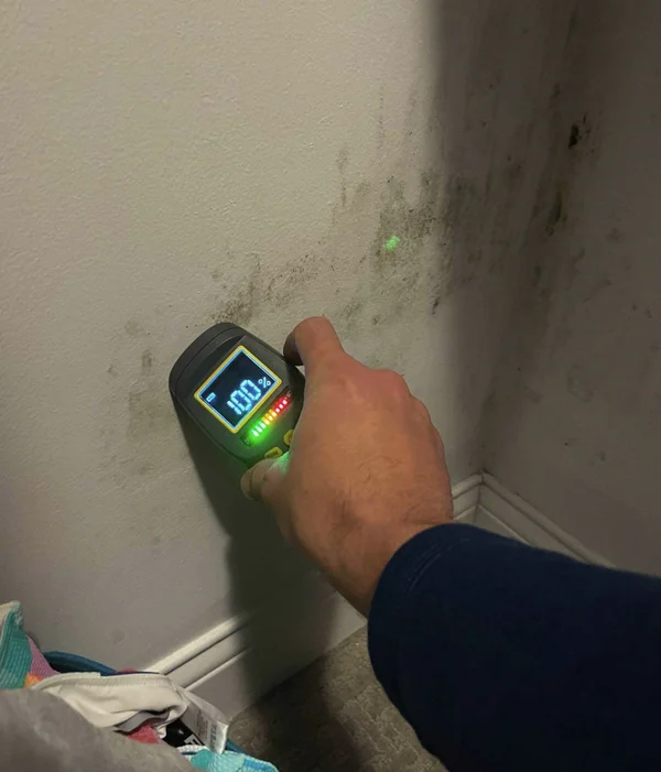 Pur360 Technician using a moisture testing tool on a wall with mold