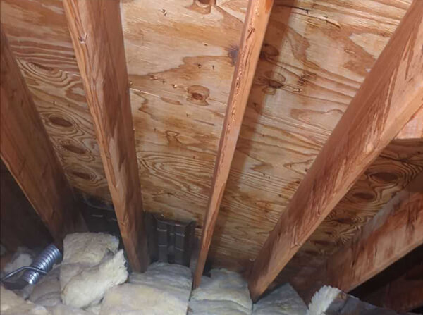 An attic with all mold removed after being treated by Pur360