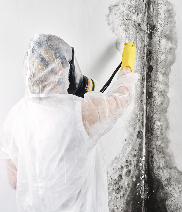 Technician treating a wall with severe mold