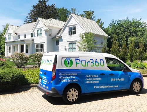 Baird & Warner Has Picked Pur360 as a Preferred Vendor for Mold Remediation