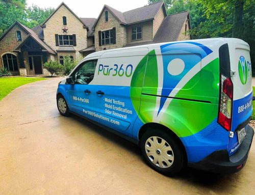 Pur360 Featured in U.S. News: 5 Best Mold Removal Services