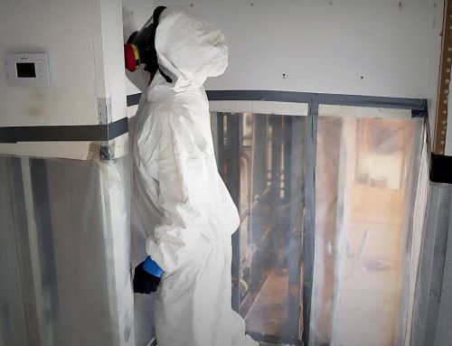 8 Steps to Successful Mold Remediation